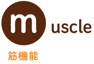 【muscle】筋機能